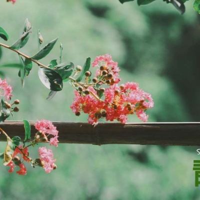 569vip威尼斯游戏截图